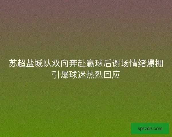 苏超盐城队双向奔赴赢球后谢场情绪爆棚引爆球迷热烈回应